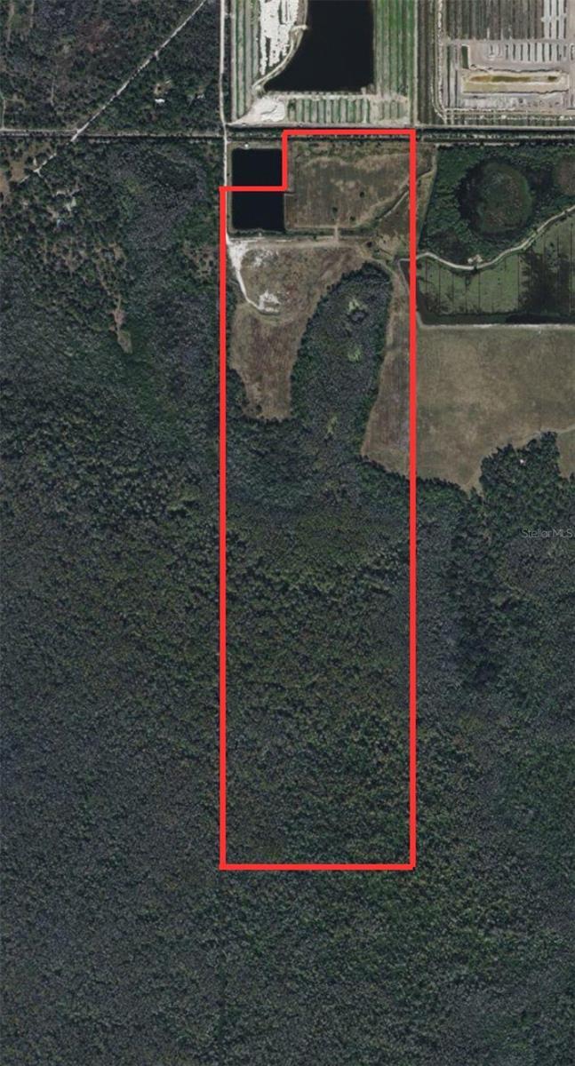 Photo of Listing #A4664782