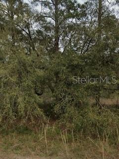 Photo of Listing #A4665590