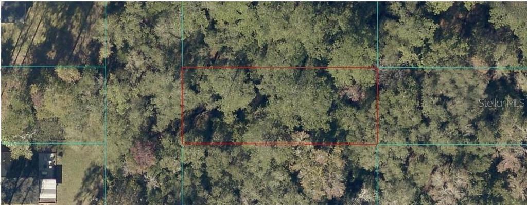 Photo of Listing #A4666085