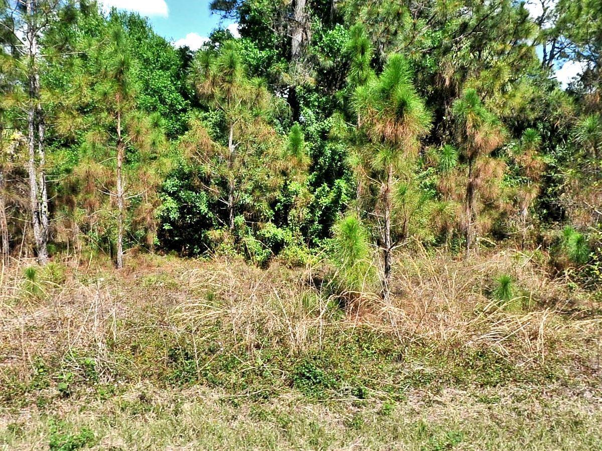 Photo of Listing #A4677952