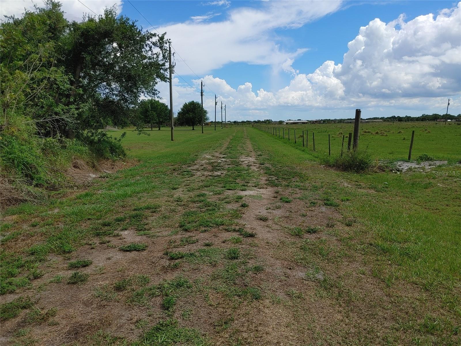 Photo of Listing #C7475900