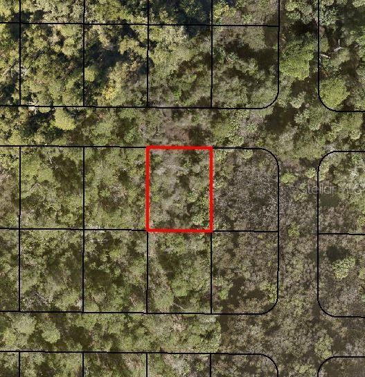 Photo of Listing #C7484142