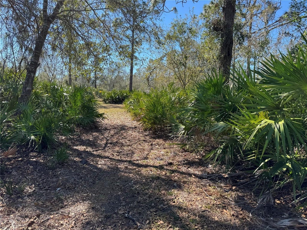 5116 Ne Country Ranches Road, ARCADIA FL ARCADIA Lots/Land Homes For Sale