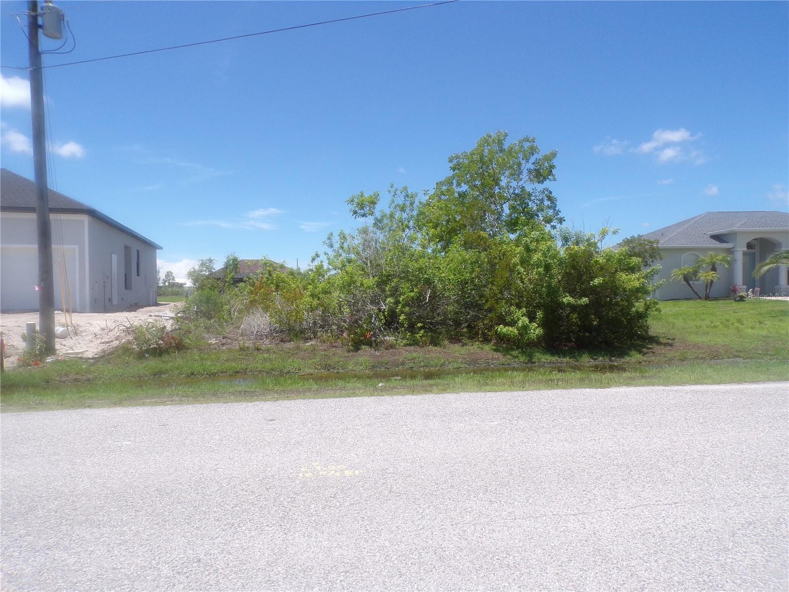 Photo of Listing #C7494778