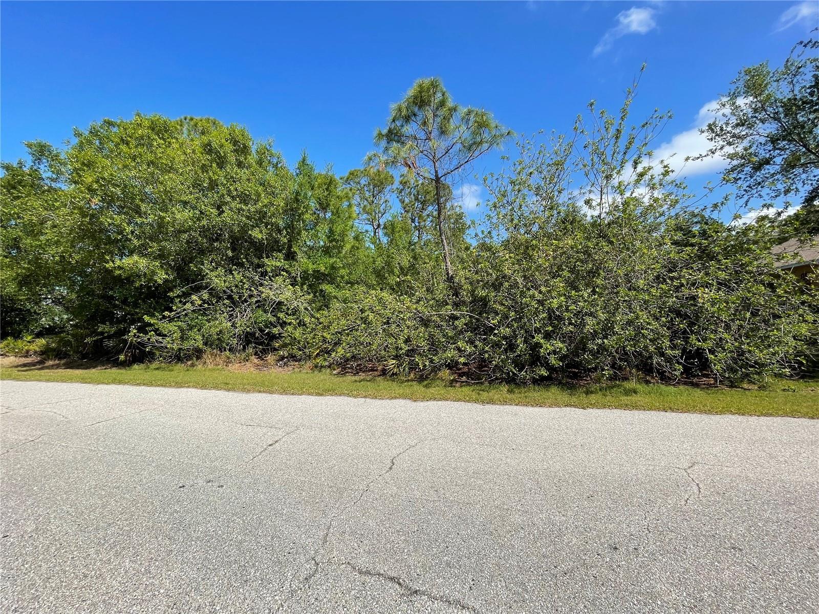 Photo of Listing #C7507821