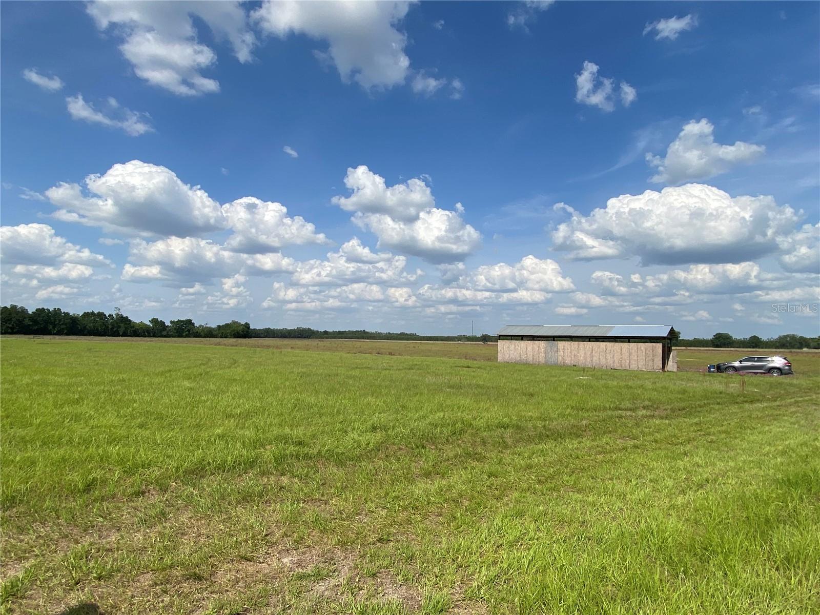 Photo of Listing #C7509283