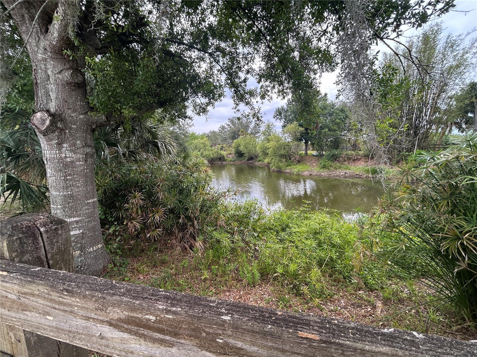 Photo of Listing #C7509788