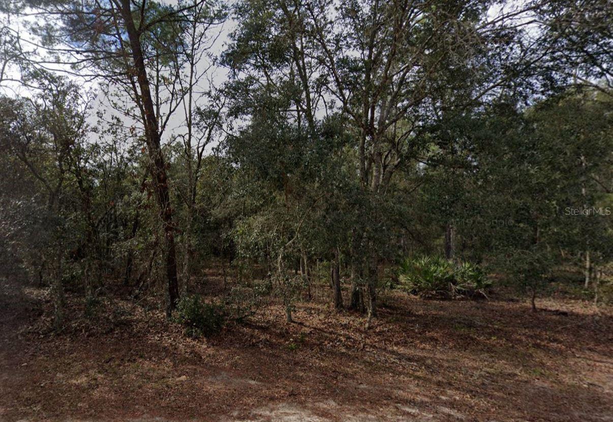 Photo of Listing #C7514782