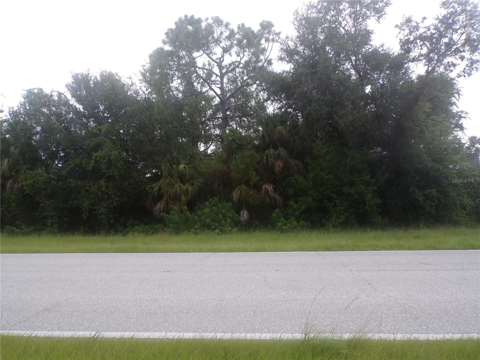 Photo of Listing #C7515107