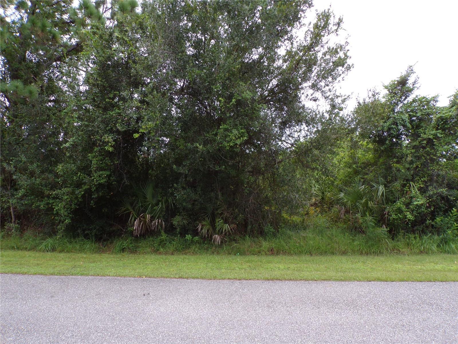 Photo of Listing #C7515115