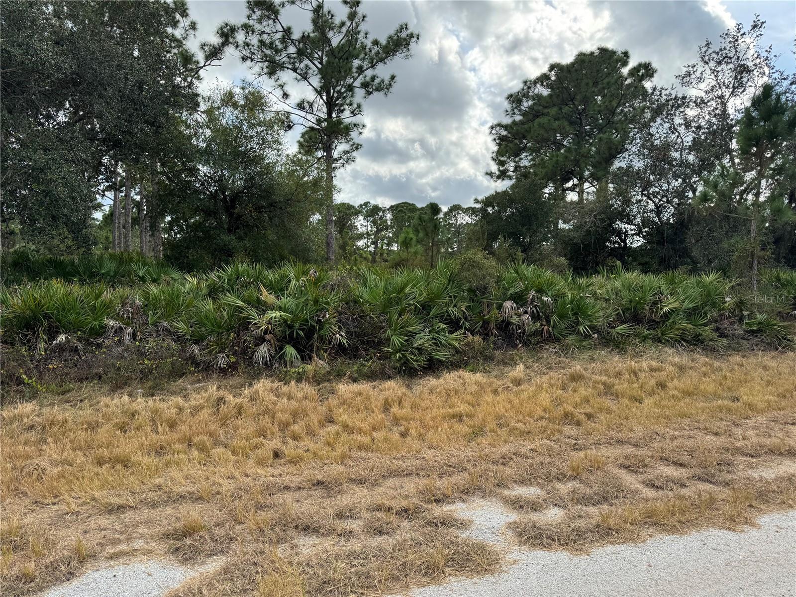 Photo of Listing #C7518986