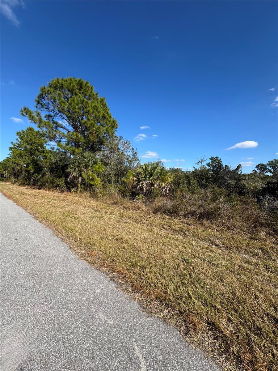 Photo of Listing #C7519434