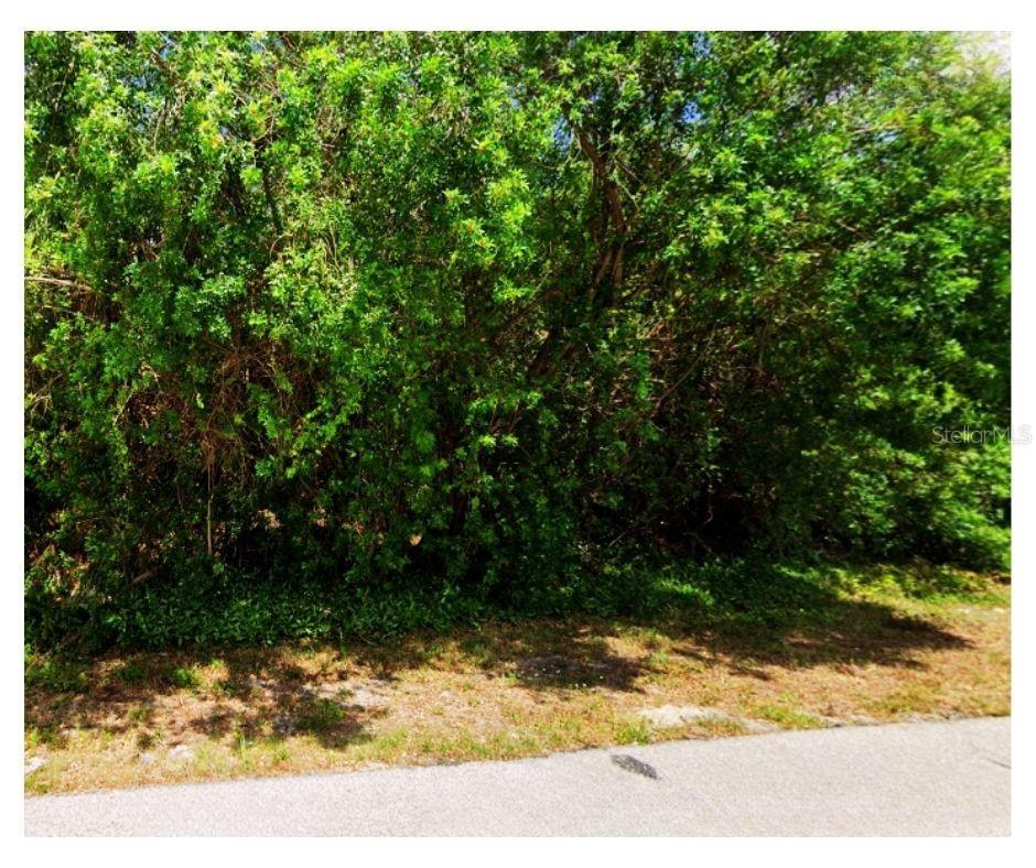 Photo of Listing #C7520215