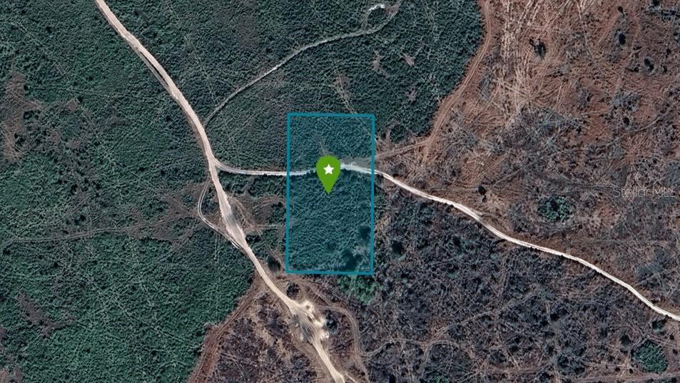 Photo of Listing #C7520948