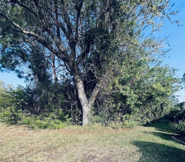 Photo of Listing #FC308405