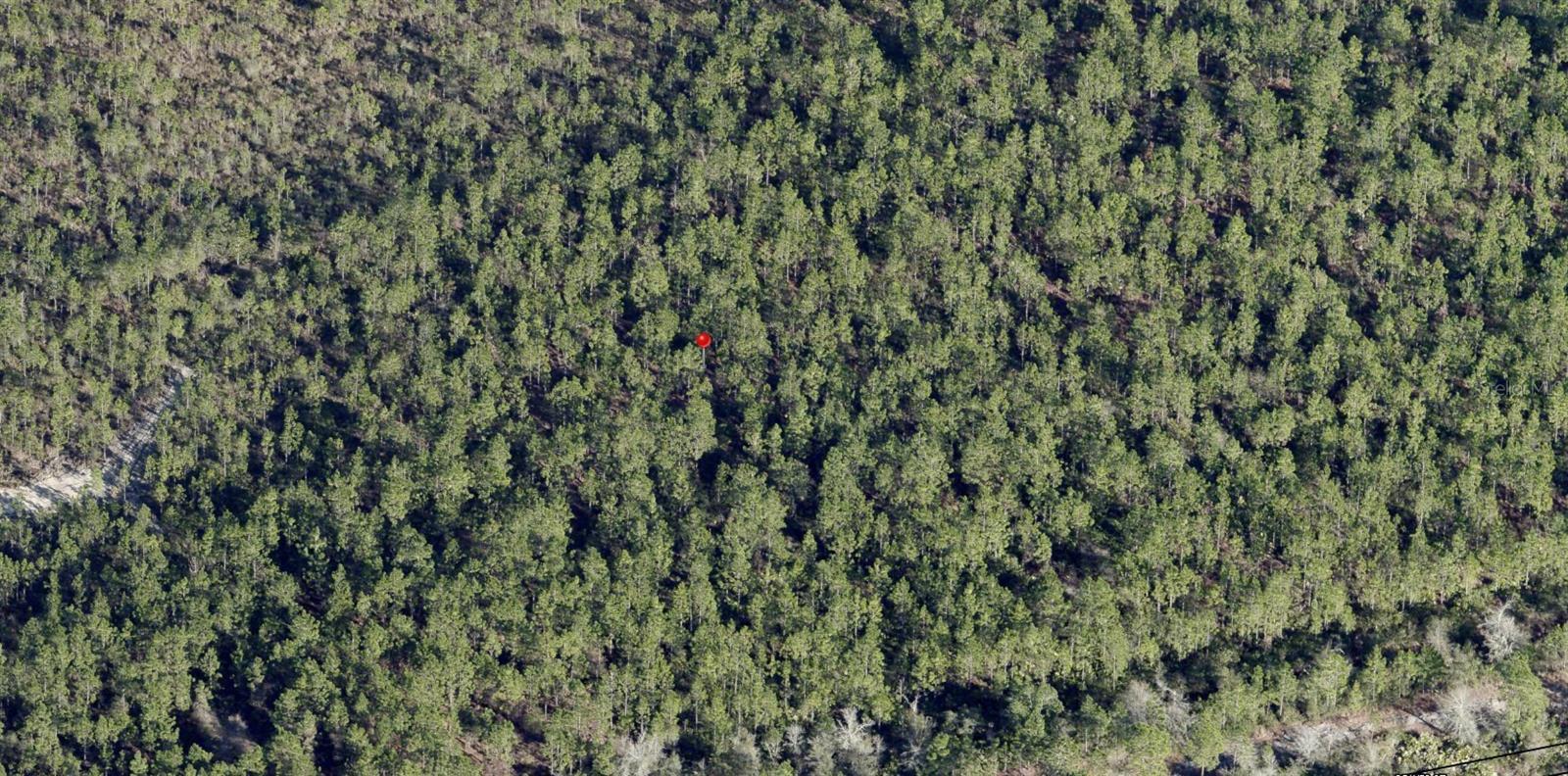 Photo of Listing #FC309027