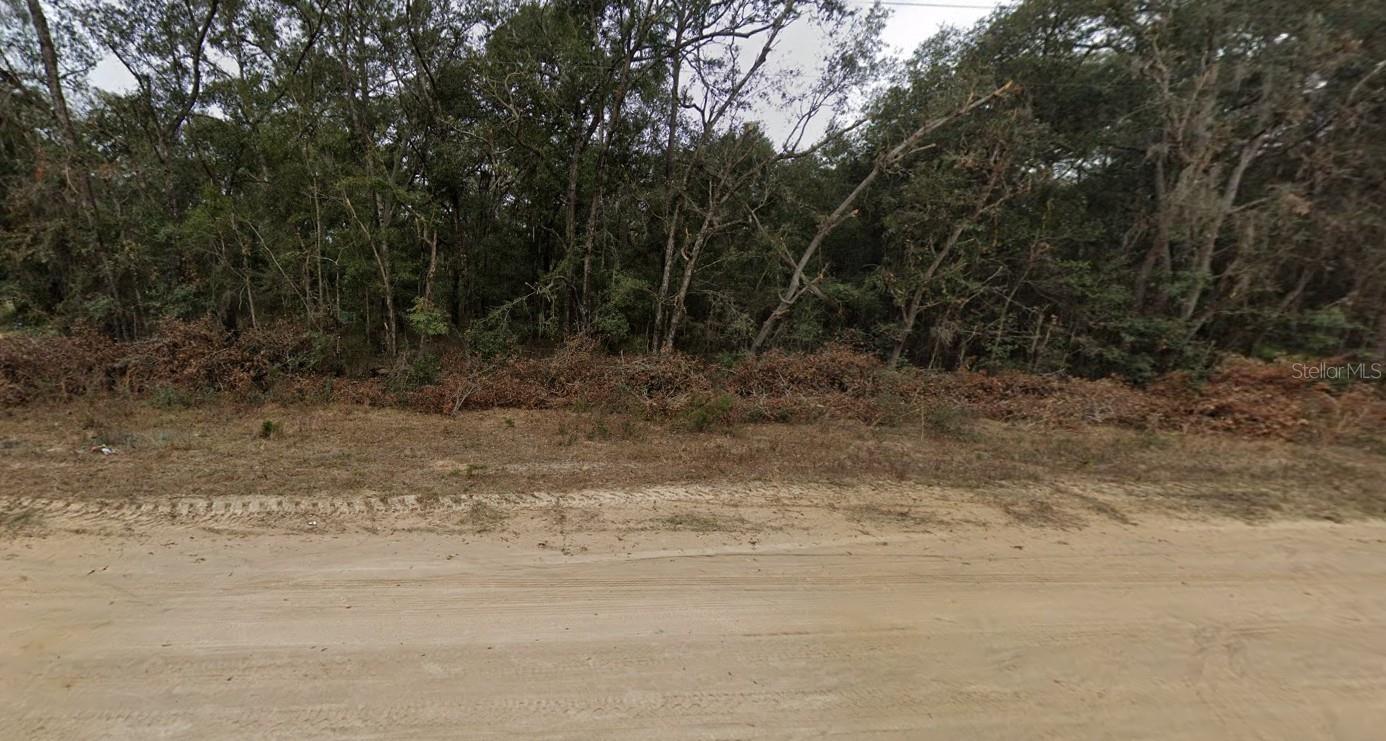 Photo of Listing #FC312539