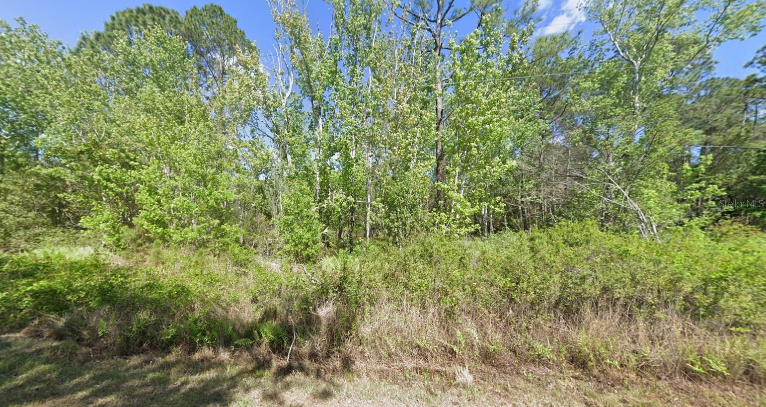 Photo of Listing #FC312716