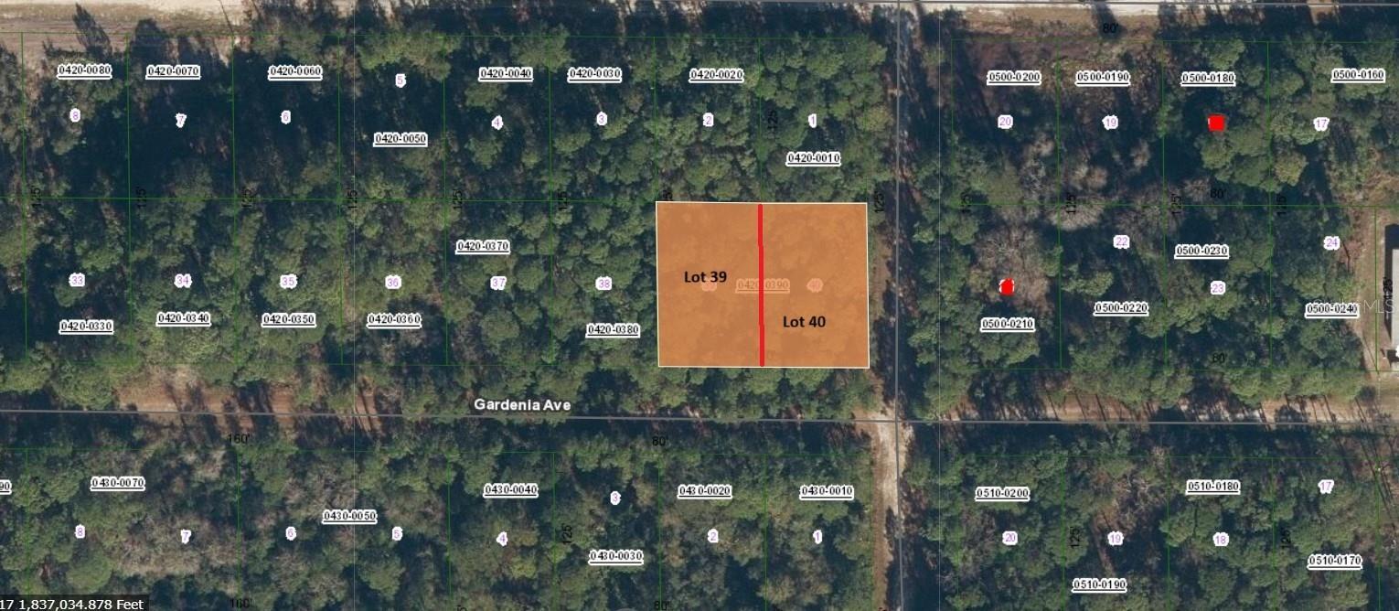 Photo of Listing #FC314224