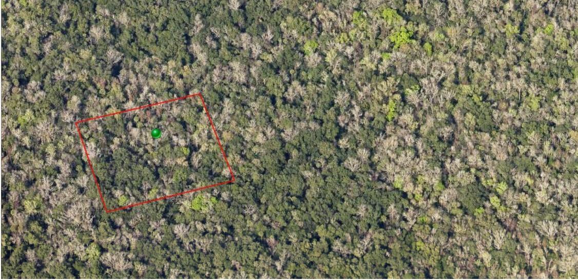 Photo of Listing #FC314804