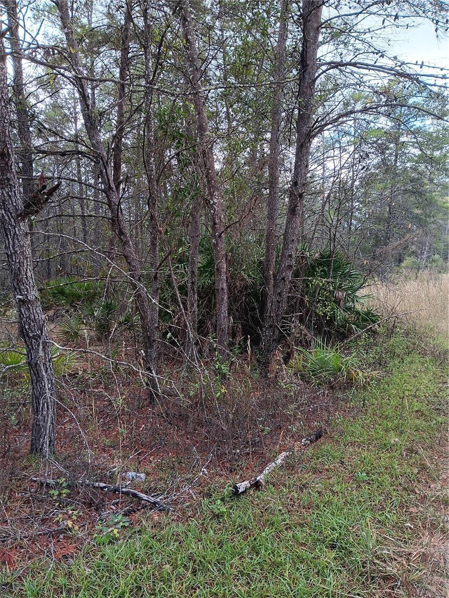 Photo of Listing #G5077196