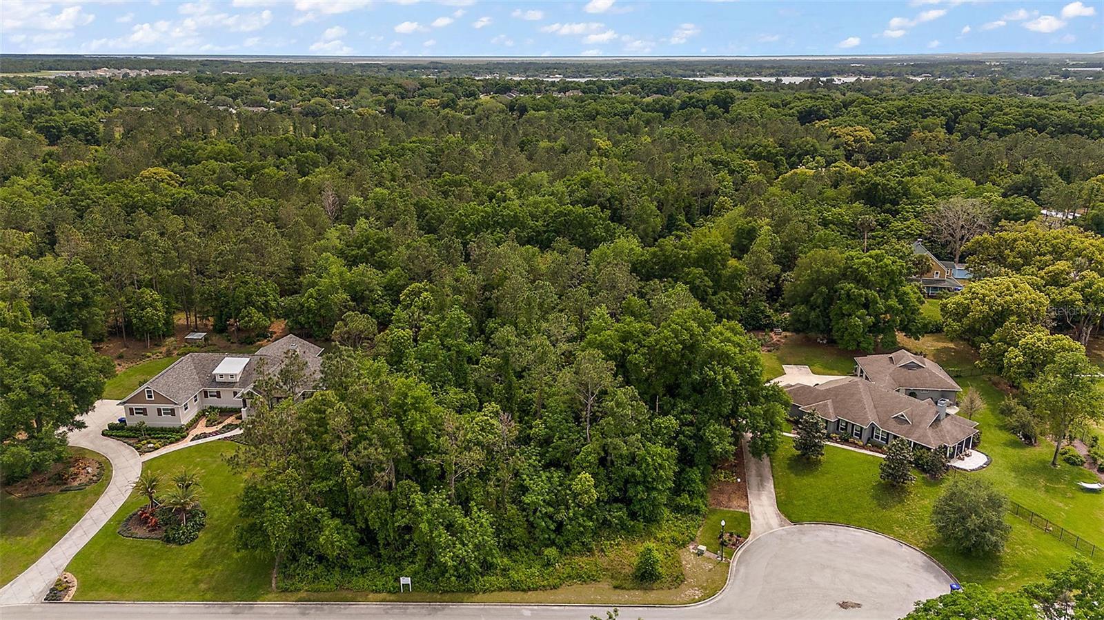 7077 Norne Ln, MOUNT DORA, FL 32757 G5080717 NV Realty Group