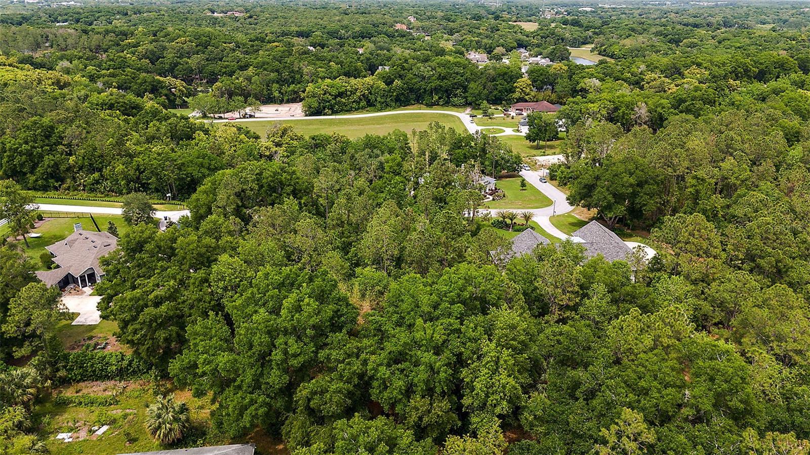 7077 Norne Ln, MOUNT DORA, FL 32757 G5080717 NV Realty Group