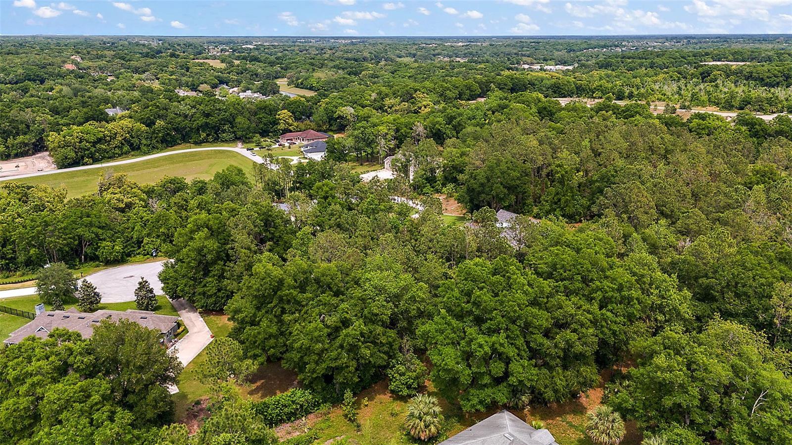 7077 Norne Ln, MOUNT DORA, FL 32757 G5080717 NV Realty Group