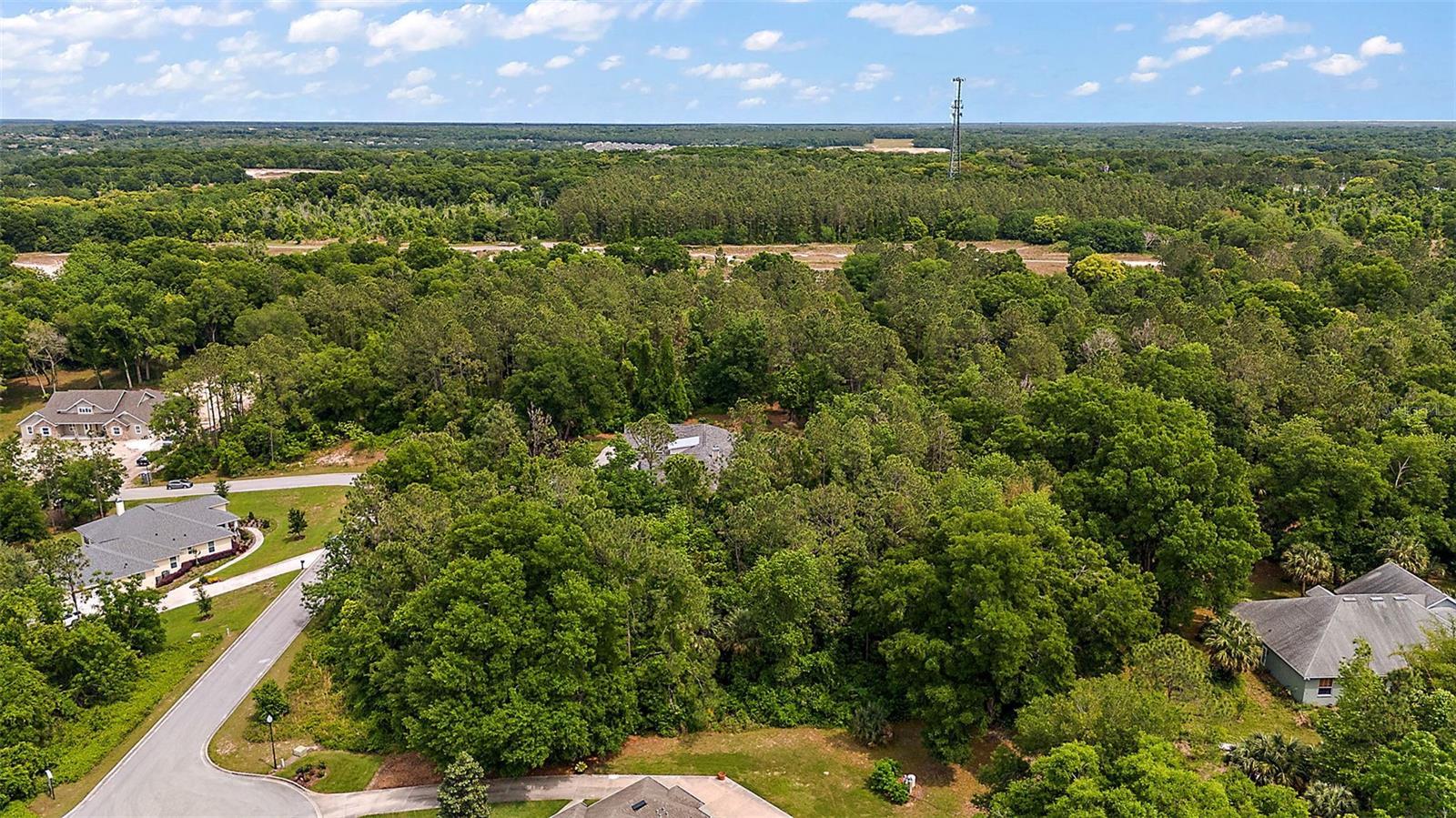 7077 Norne Ln, MOUNT DORA, FL 32757 G5080717 NV Realty Group