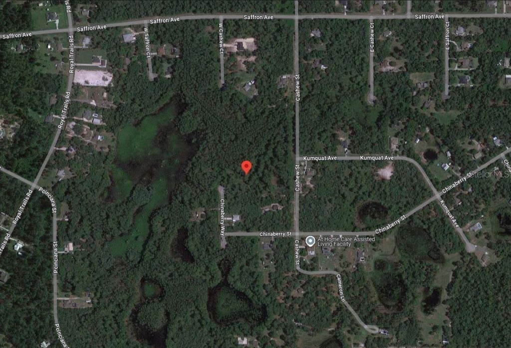 Tbd Chinaberry Way, EUSTIS FL EUSTIS Lots/Land Homes For Sale