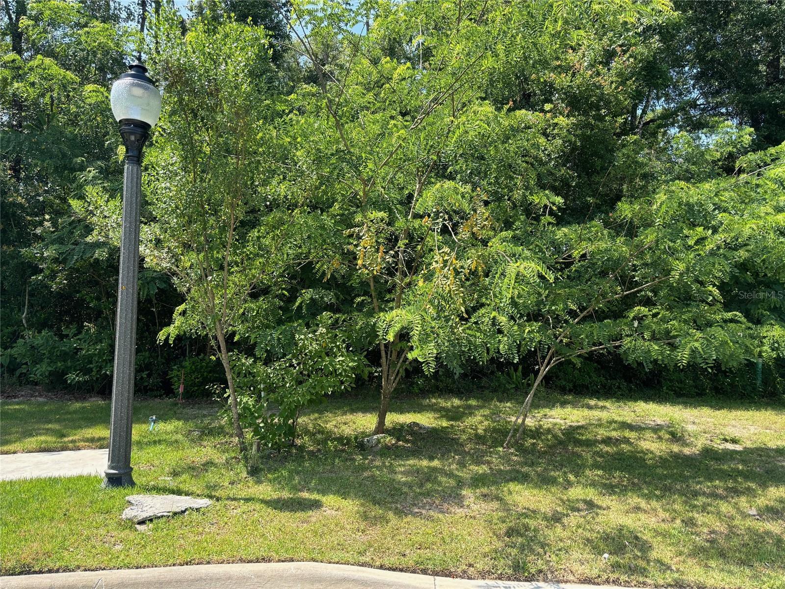 Photo of Listing #GC521850