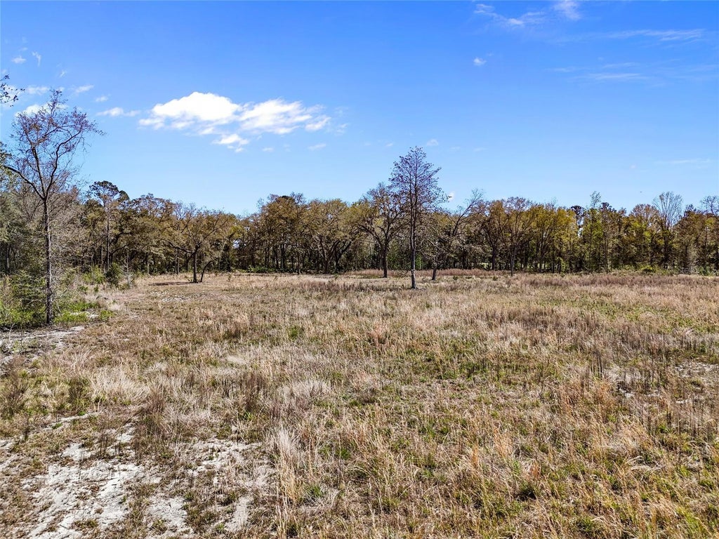 Tbd 00 Se Us Hwy 301, HAWTHORNE FL | HAWTHORNE Lots/Land Homes For Sale