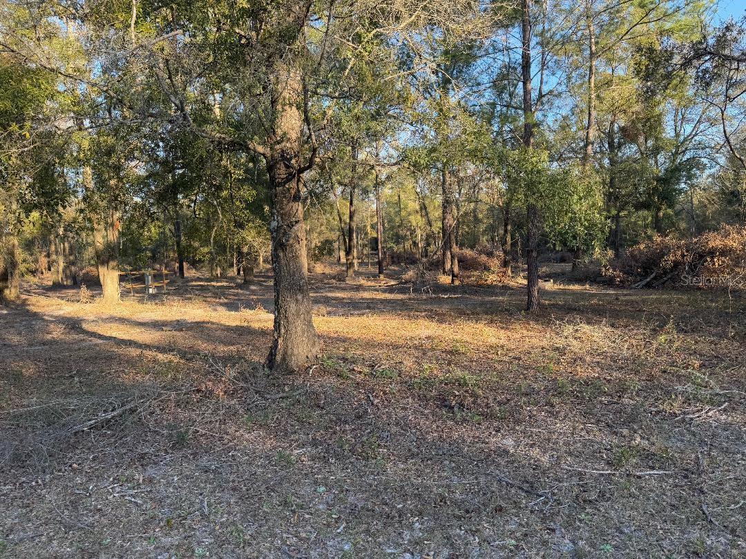 Photo of Listing #GC529167
