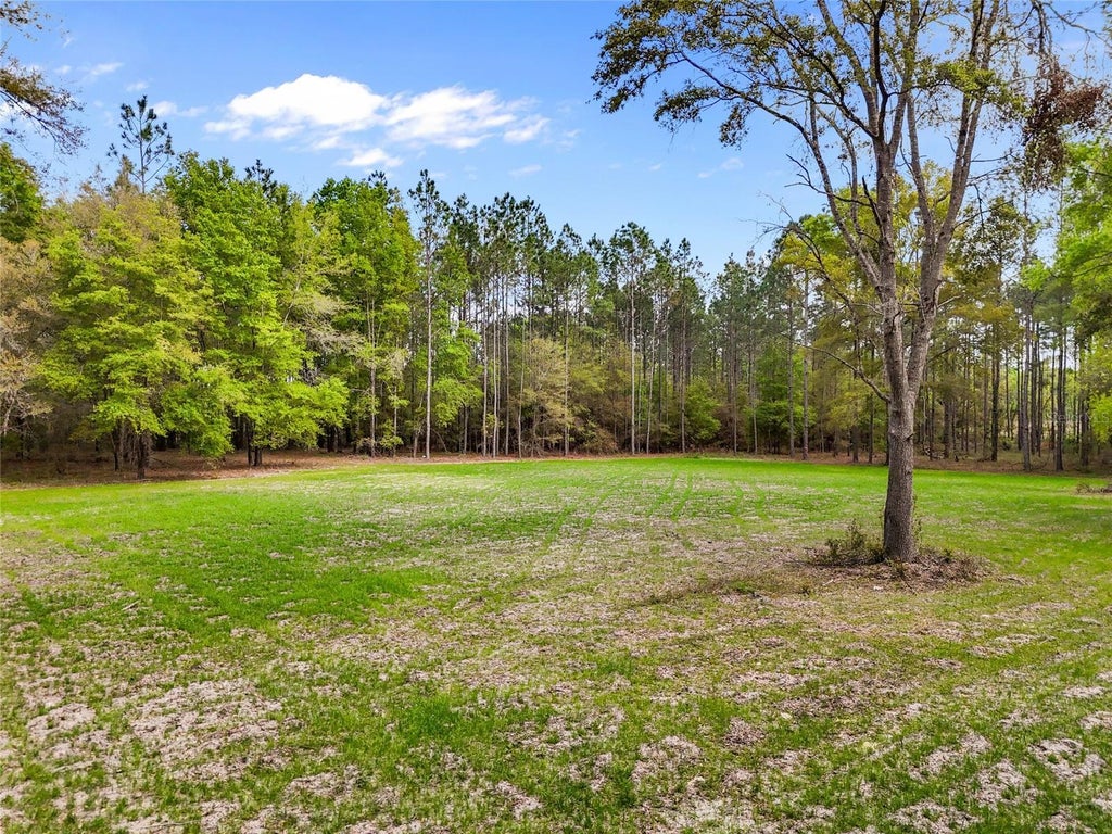 Sw 234th Street, NEWBERRY