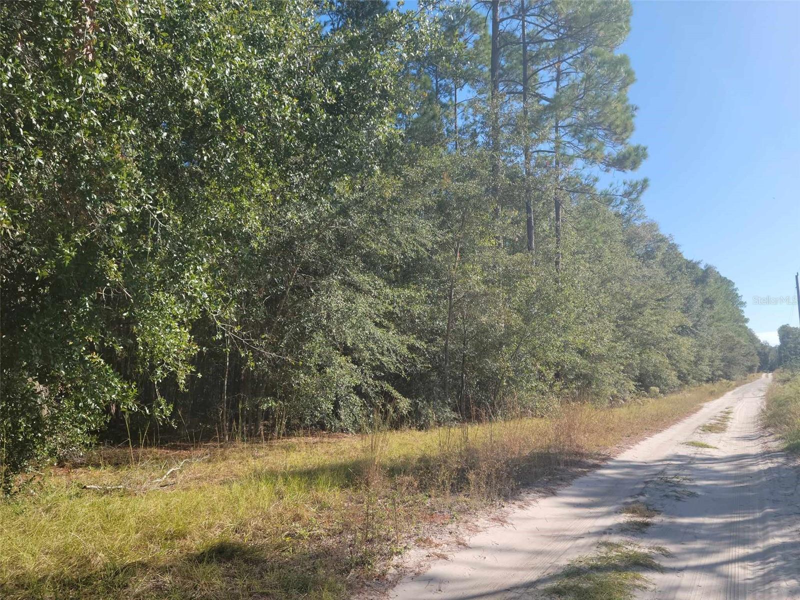 Photo of Listing #GC529576