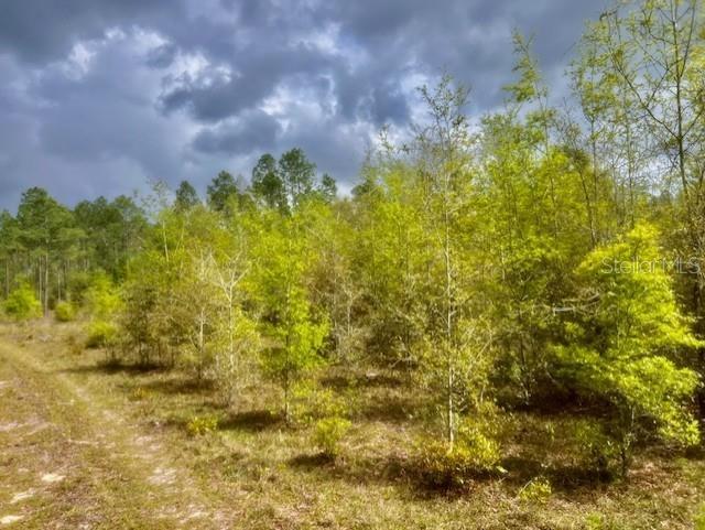 Photo of Listing #GC529908