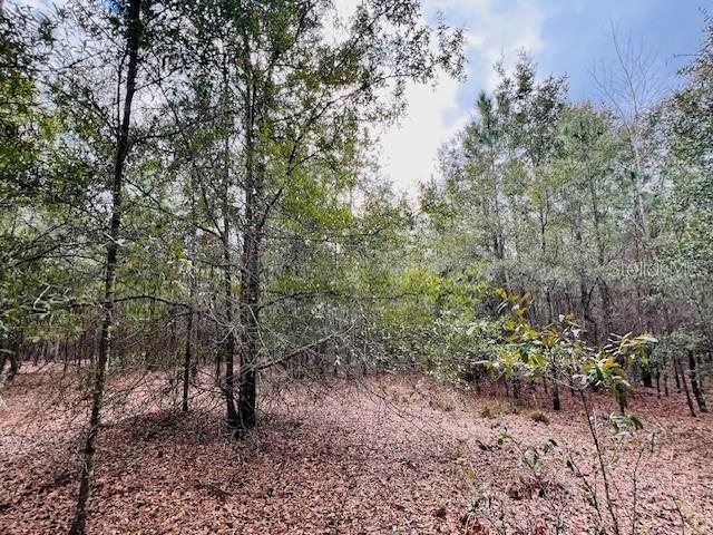 Photo of Listing #GC530132