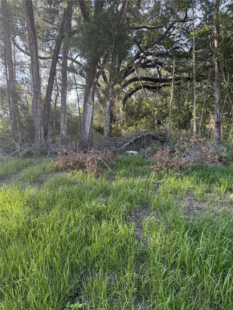 Photo of Listing #GC531155