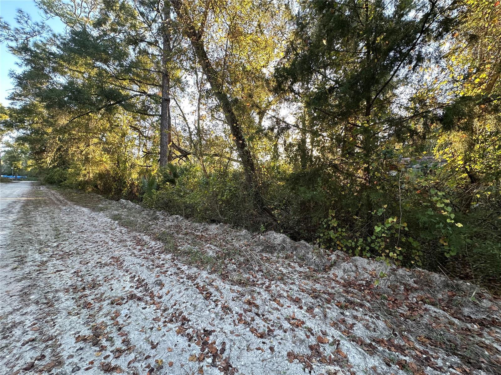 Photo of Listing #GC535407