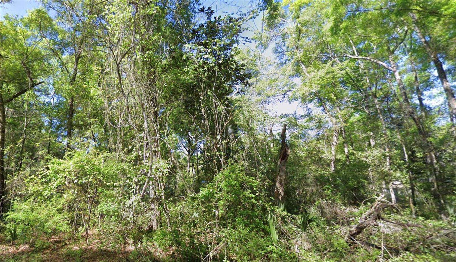 Photo of Listing #GC535408