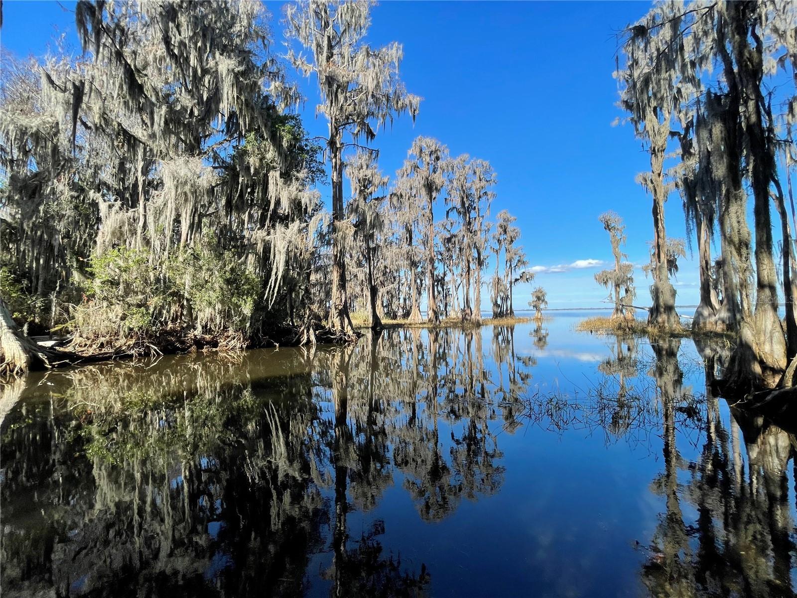 Photo of Listing #GC536541