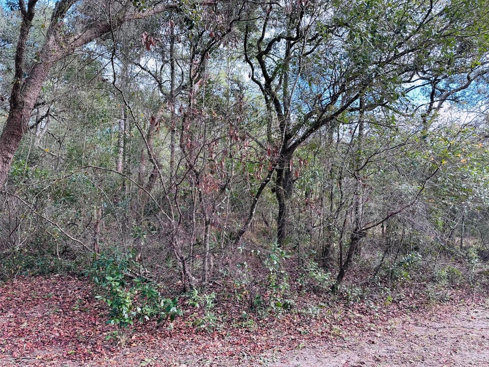 Photo of Listing #GC536837