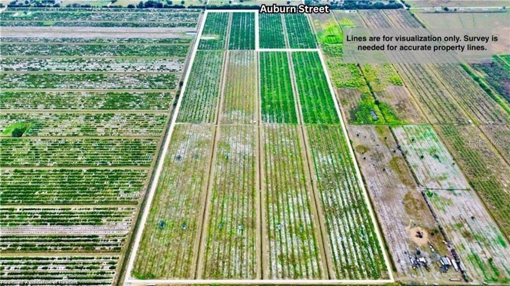 Photo of Listing #L4958791