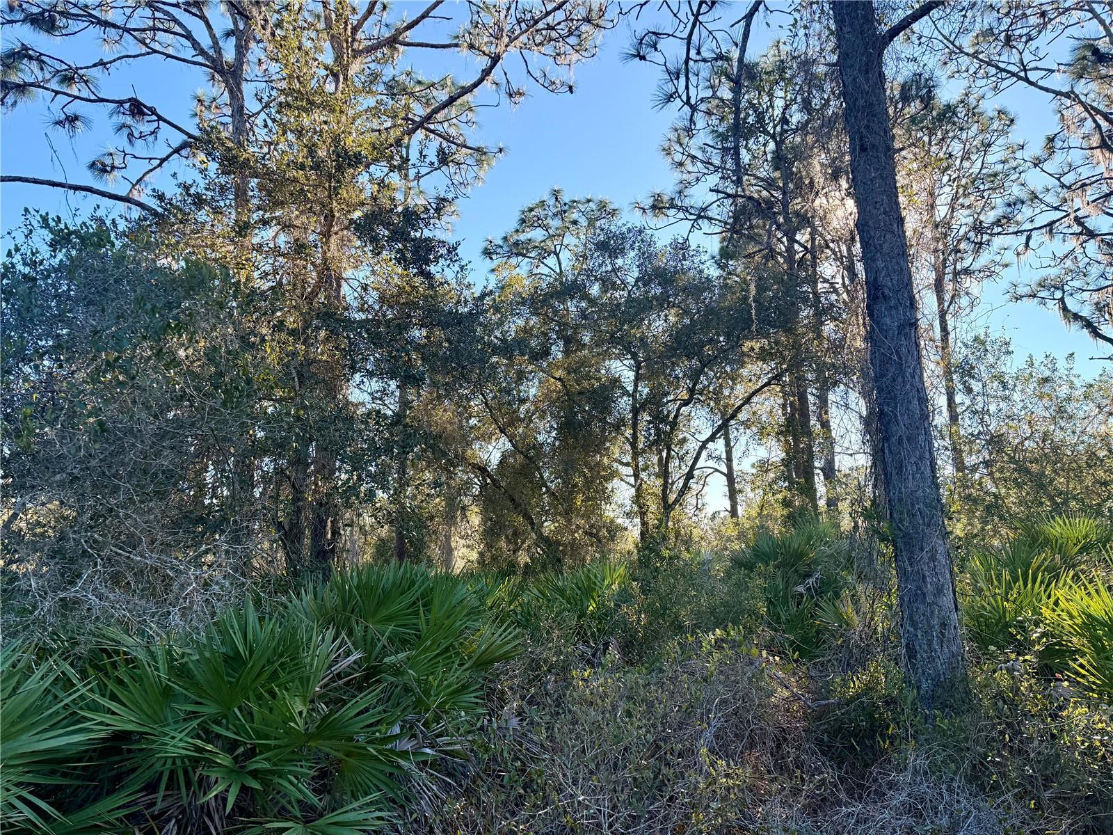 Photo of Listing #L4958950