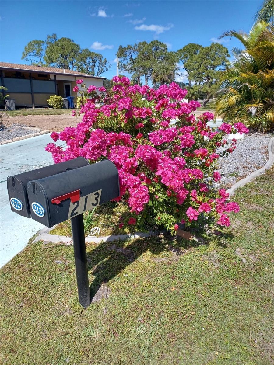 Photo of Listing #N6139836