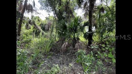 Photo of Listing #N6141109