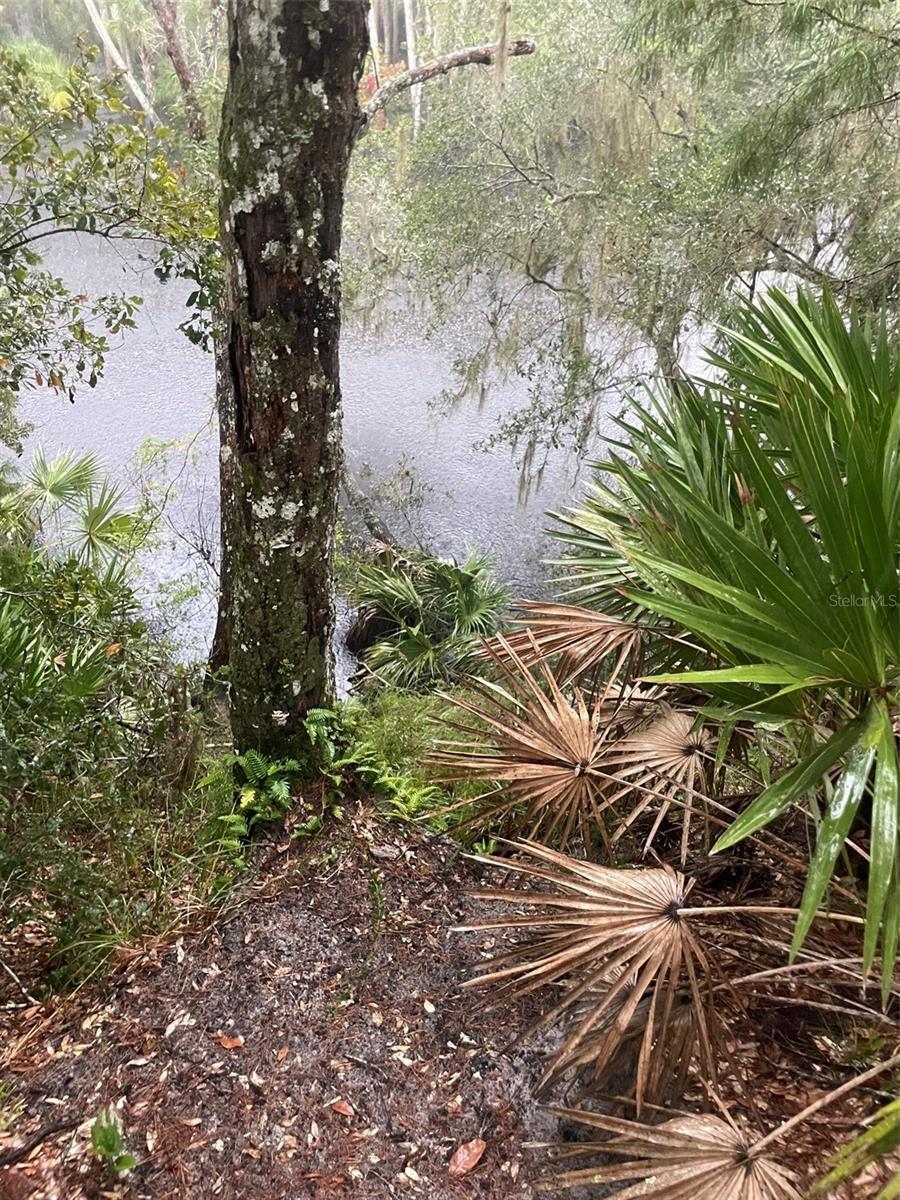 1783 Taylor Road, PORT ORANGE