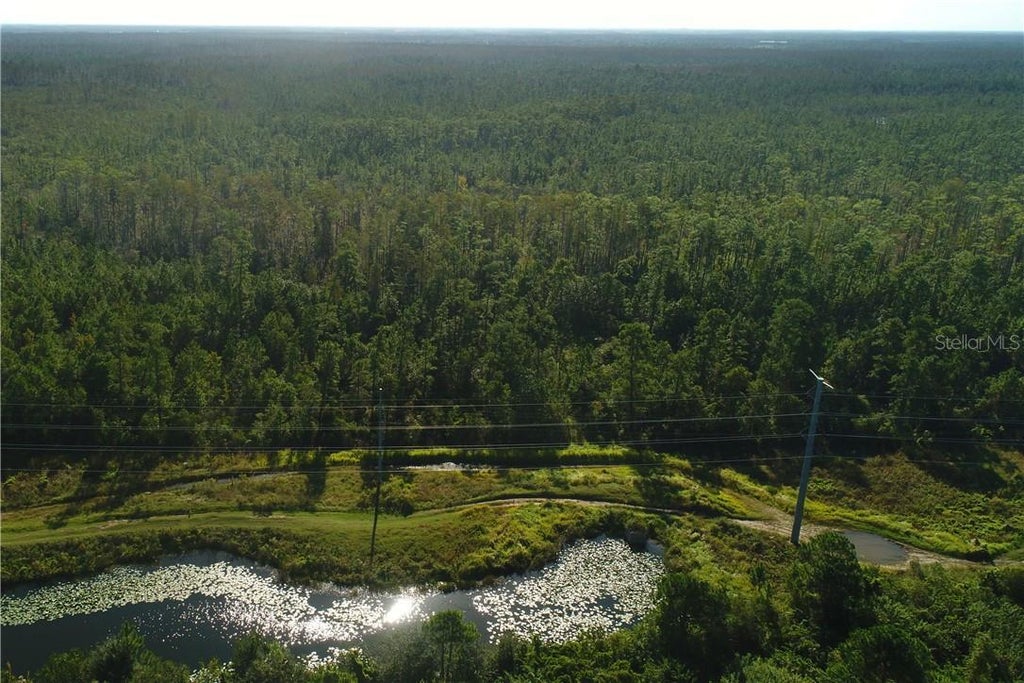 International Drive, ORLANDO