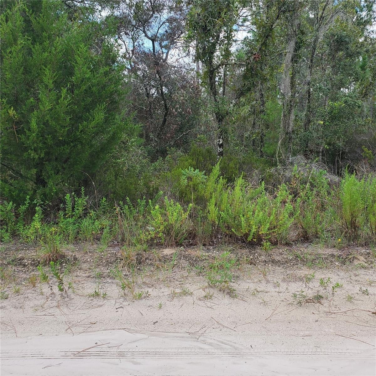 Photo of Listing #O6077218