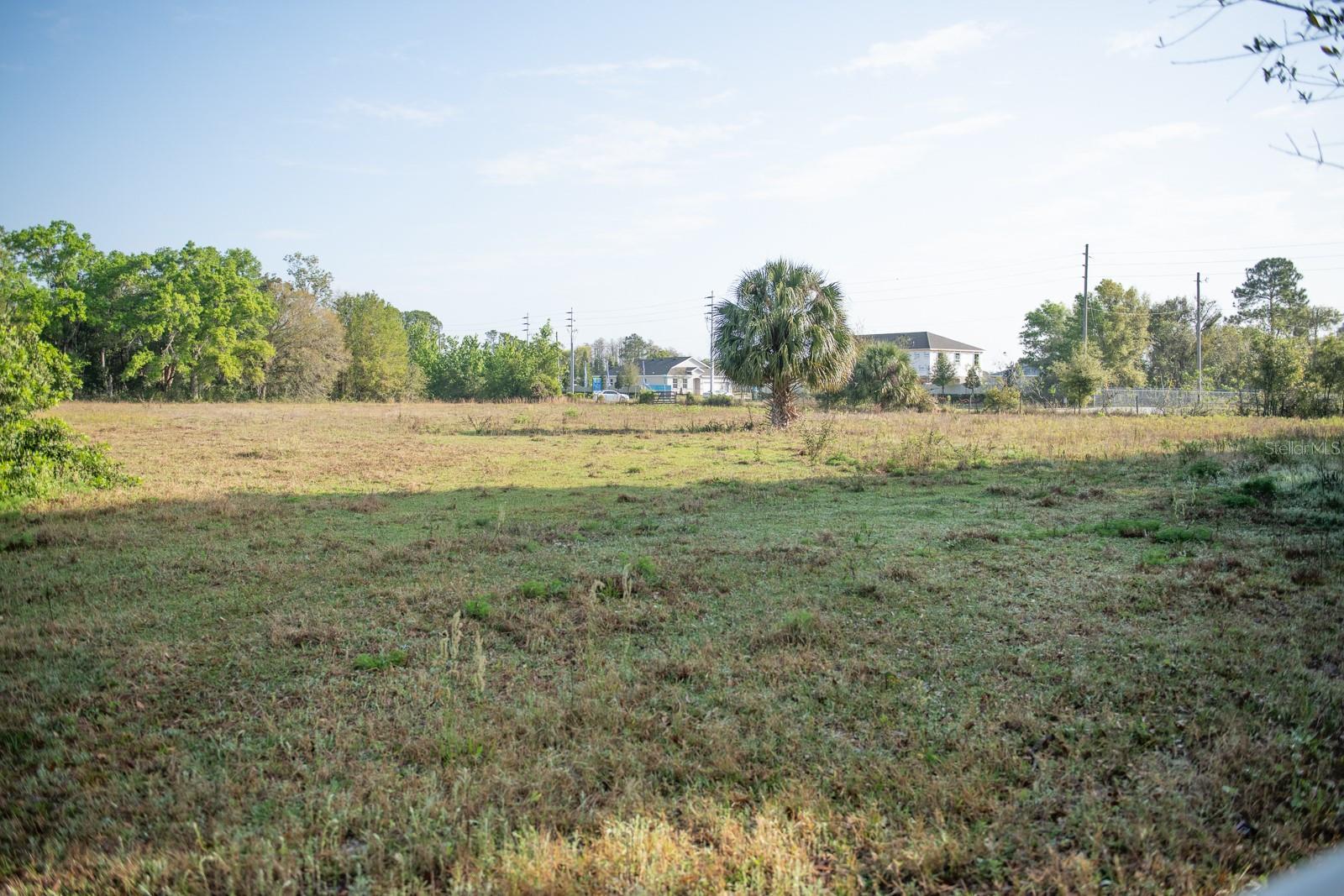 Photo of Listing #O6096052